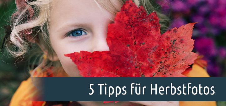 5 Tipps für Herbstfotos