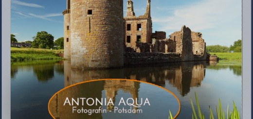 Wasserzeichen in der DiaShow