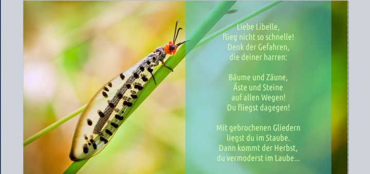 Text auf farbigem Streifen