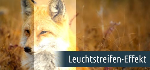 Leuchtstreifen-Effekt erstellen