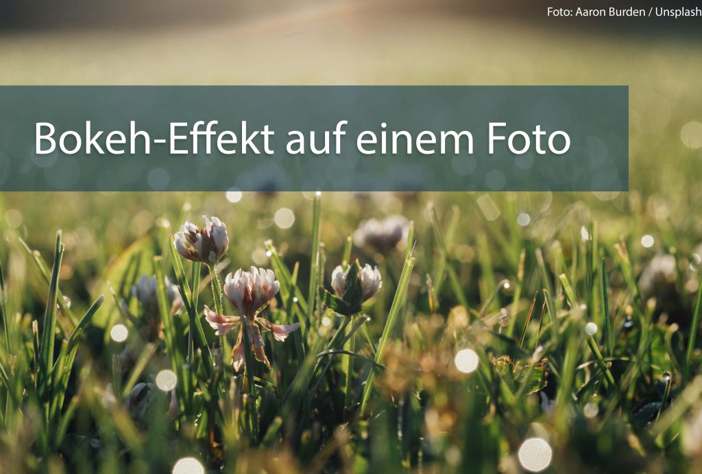 Bokeh auf einem Foto mit einer Wiese