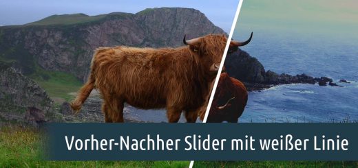 Vorher-Nachher-Slider mit weißer Linie