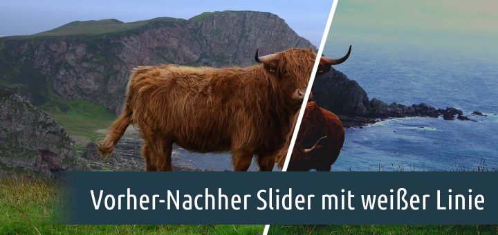 Vorher-Nachher-Slider mit weißer Linie