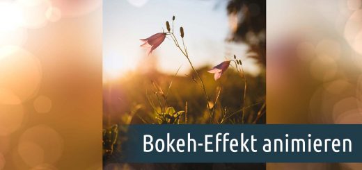 bokeh-effekt animieren