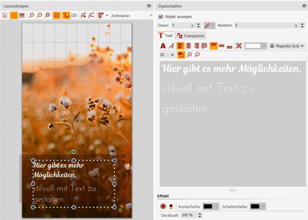 Video aus Fotos machen für Instagram Reels ANLEITUNG
