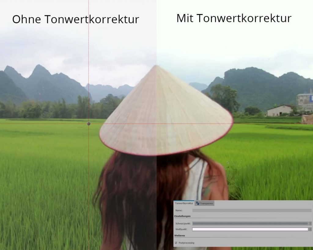 Kontrast und Sättigung erhöhen mit Tonwertkorrektur