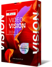 Video Vision 2024