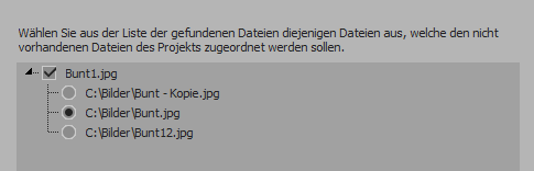 Dlg_SearchWizard_FoundFiles
