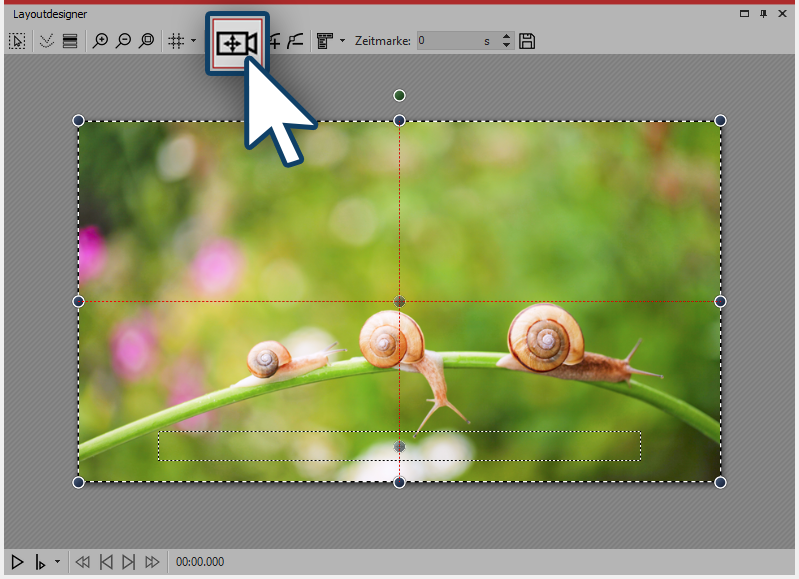 Kameraschwenk im Layoutdesigner aktivieren