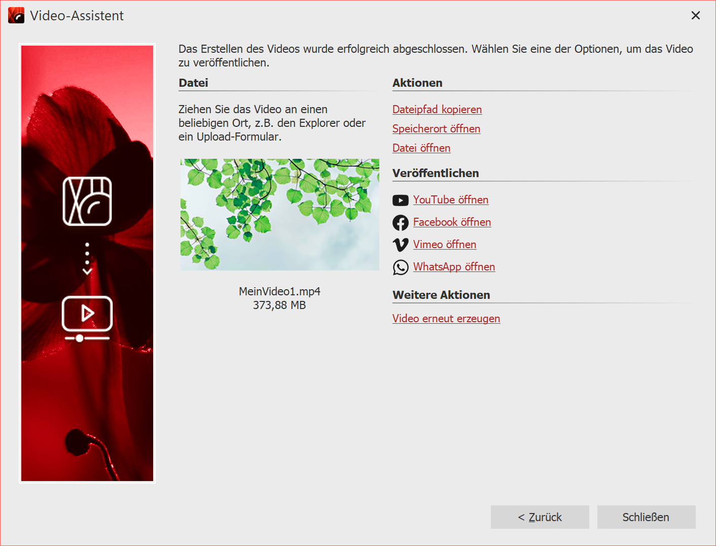 Dlg_VideoWizard_Final
