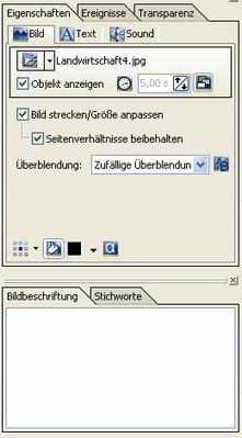 Bildeigenschaften