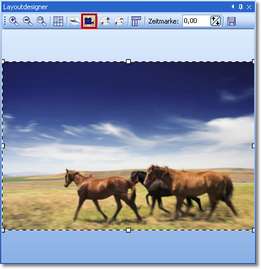 LA_Image_CameraPanActive_i