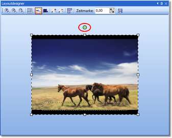 LA_Image_Rotation1_i