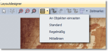 Optionen für Raster