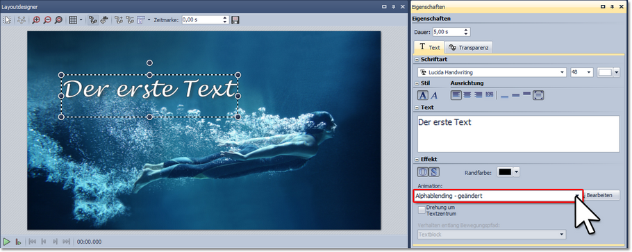 Text eingeben und Animation auswählen