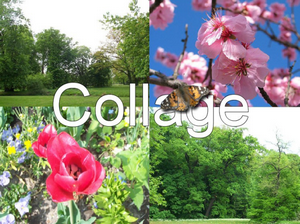 Collage1a