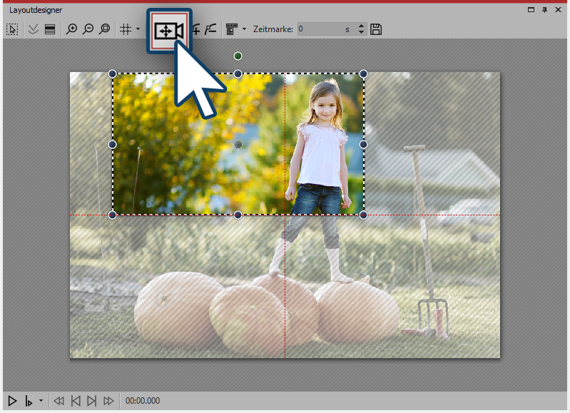 Kameraschwenk aktivieren