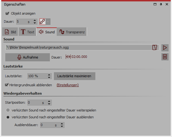 Ton zu Bild einfügen oder aufnehmen