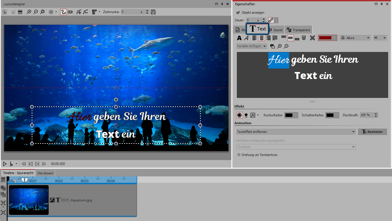 Texteingabe zu einem Bild