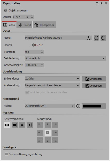 Eigenschaften für Video-Objekt