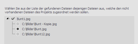Dlg_SearchWizard_FoundFiles