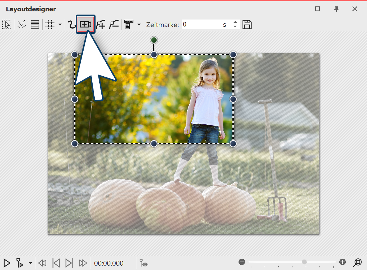 Kameraschwenk aktivieren