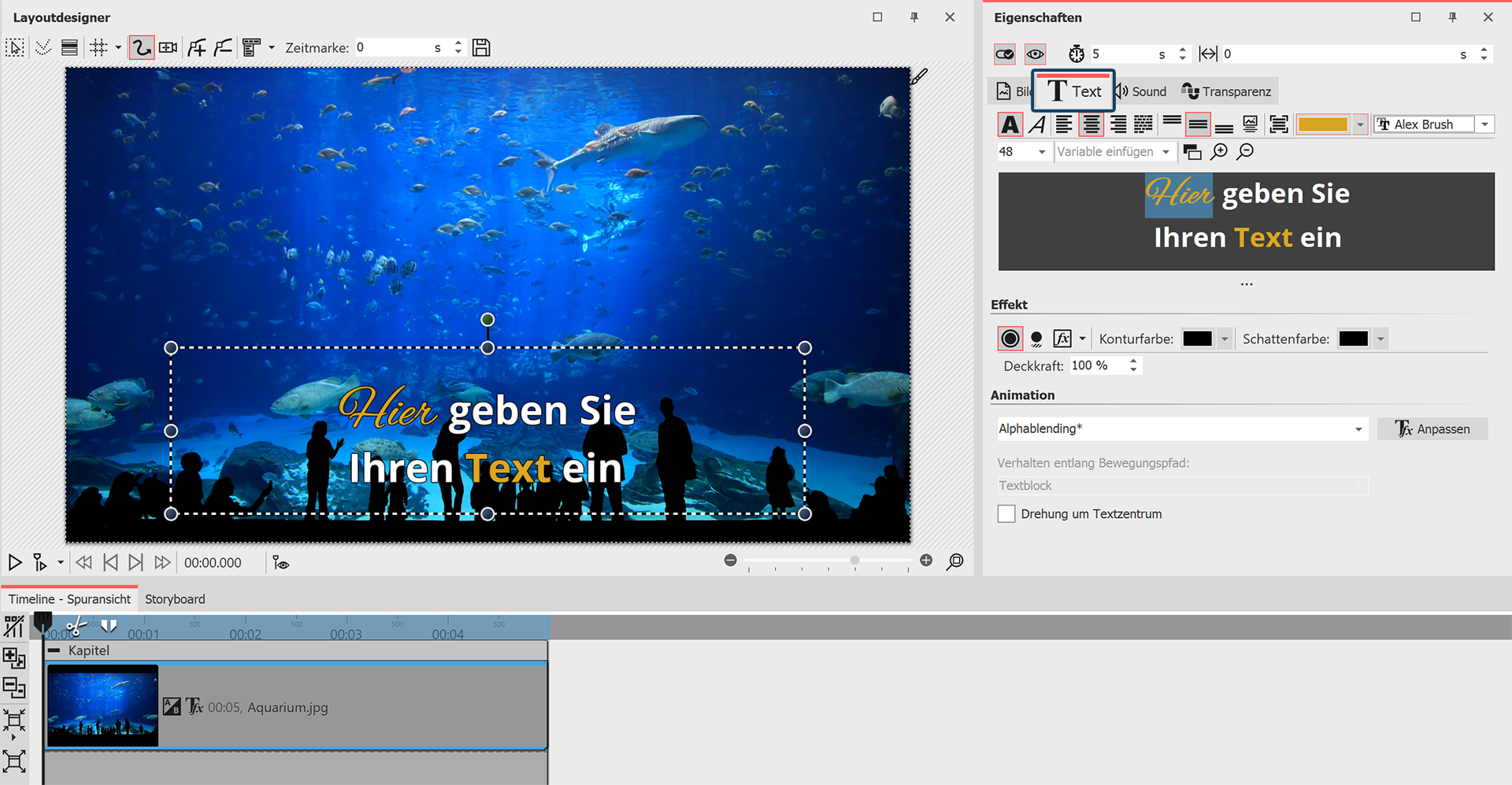 Texteingabe zu einem Bild