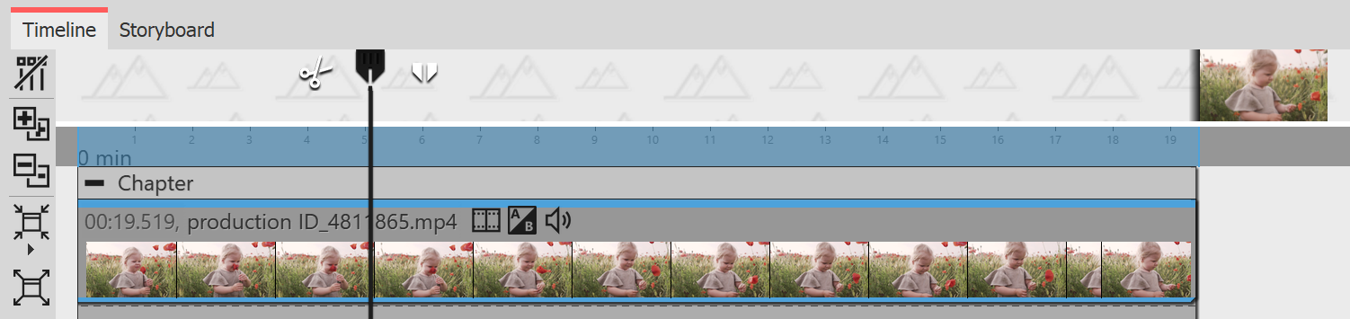 Video in the Timeline Video in the Timeline