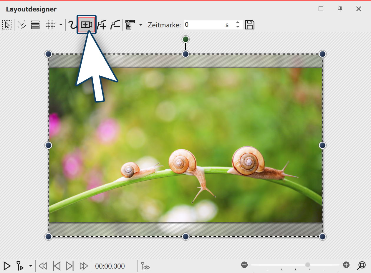 Kameraschwenk im Layoutdesigner aktivieren