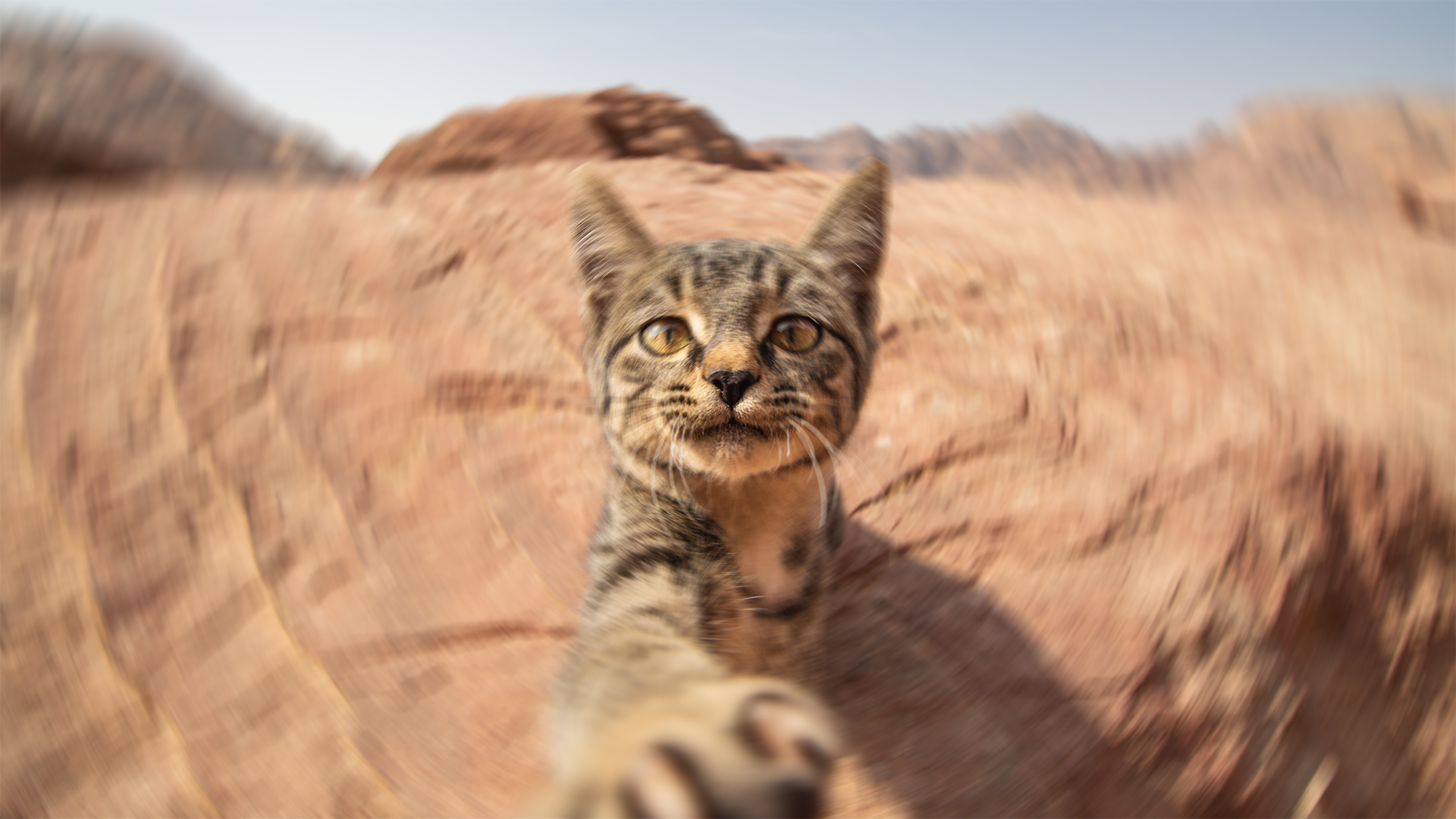 Bewegungsunschärfe-Effekt