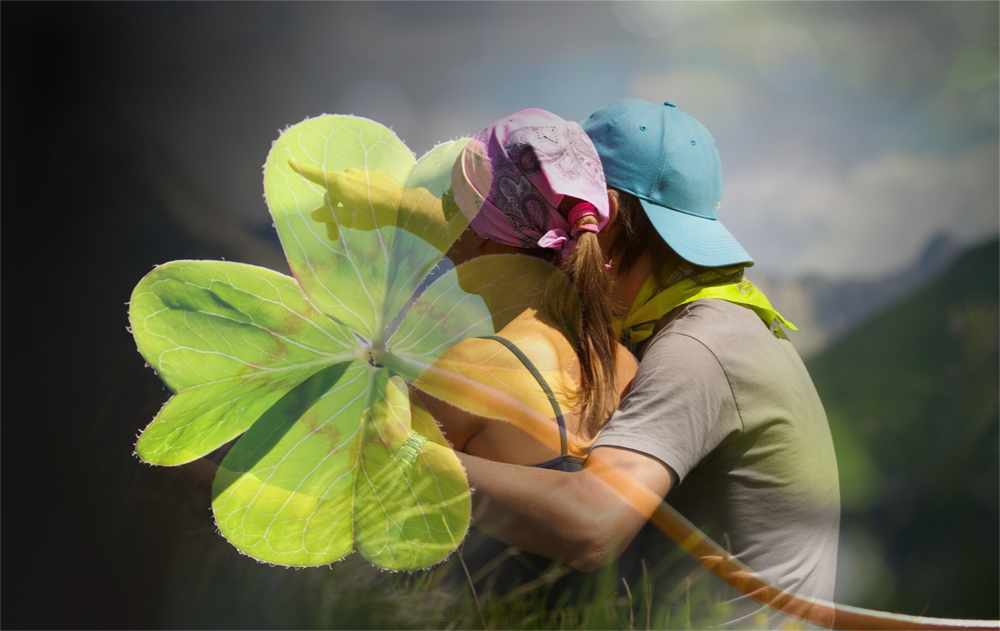 Beispiel für Überlagerung zweier Fotos
