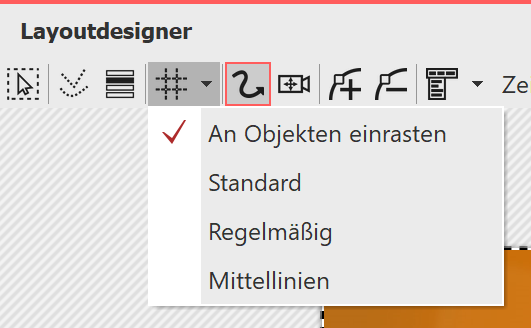 Optionen für Raster