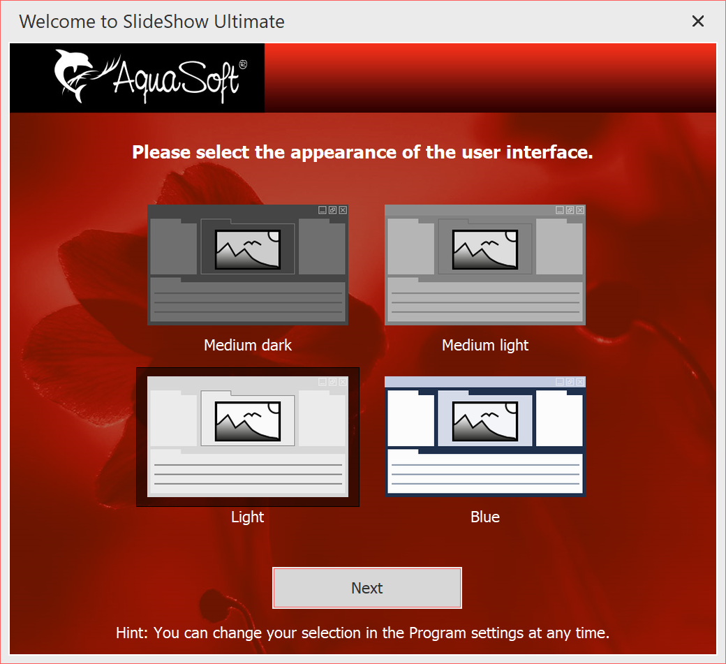 Selection in Video Vision Selection in Video Vision