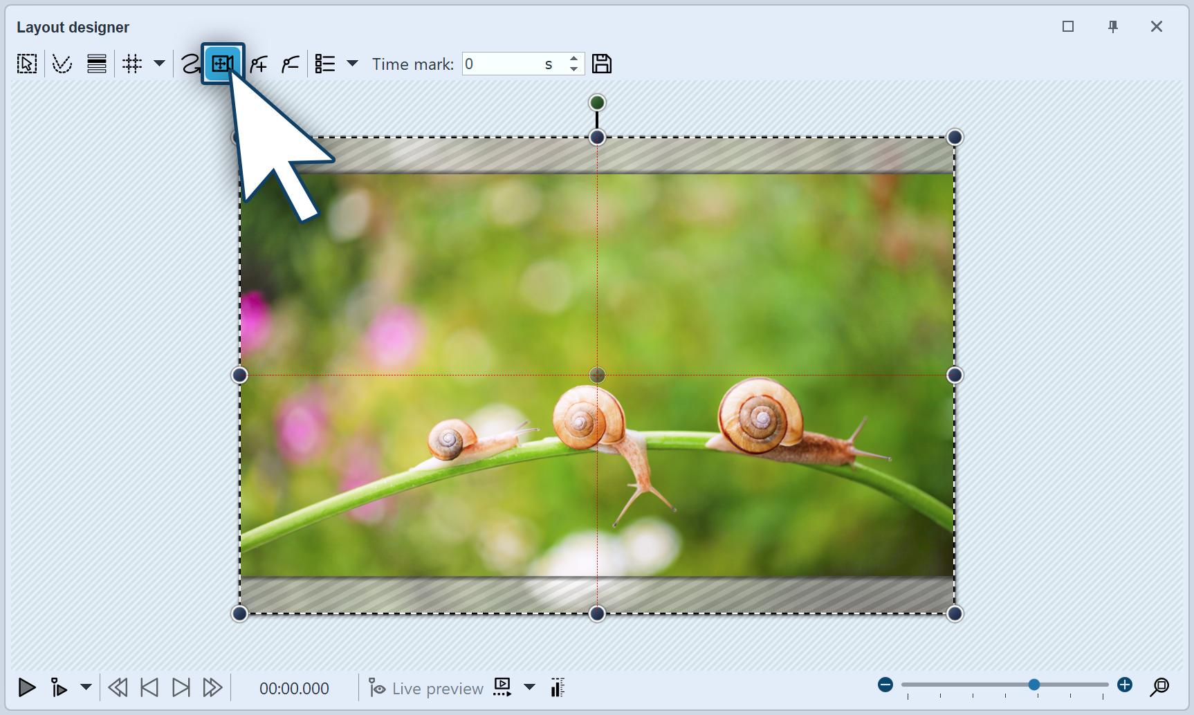 Activating camera panning in the layout designer