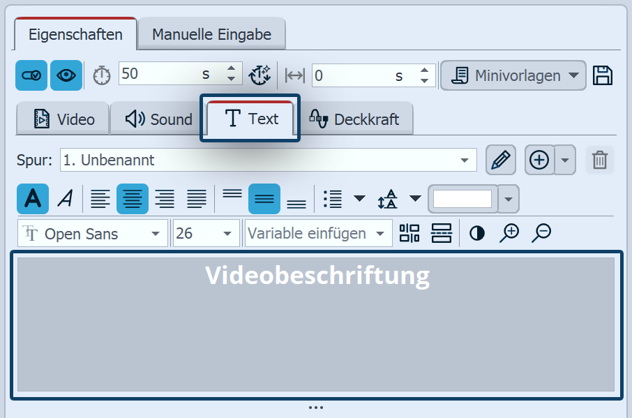 Video-Eigenschaften, Reiter Text