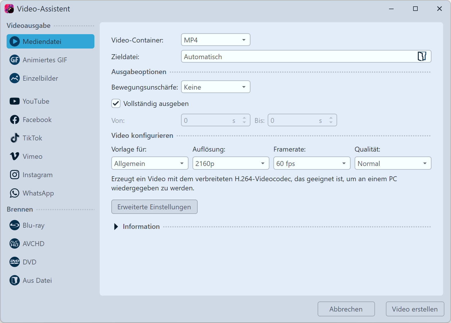Video-Assistent (Video Vision)