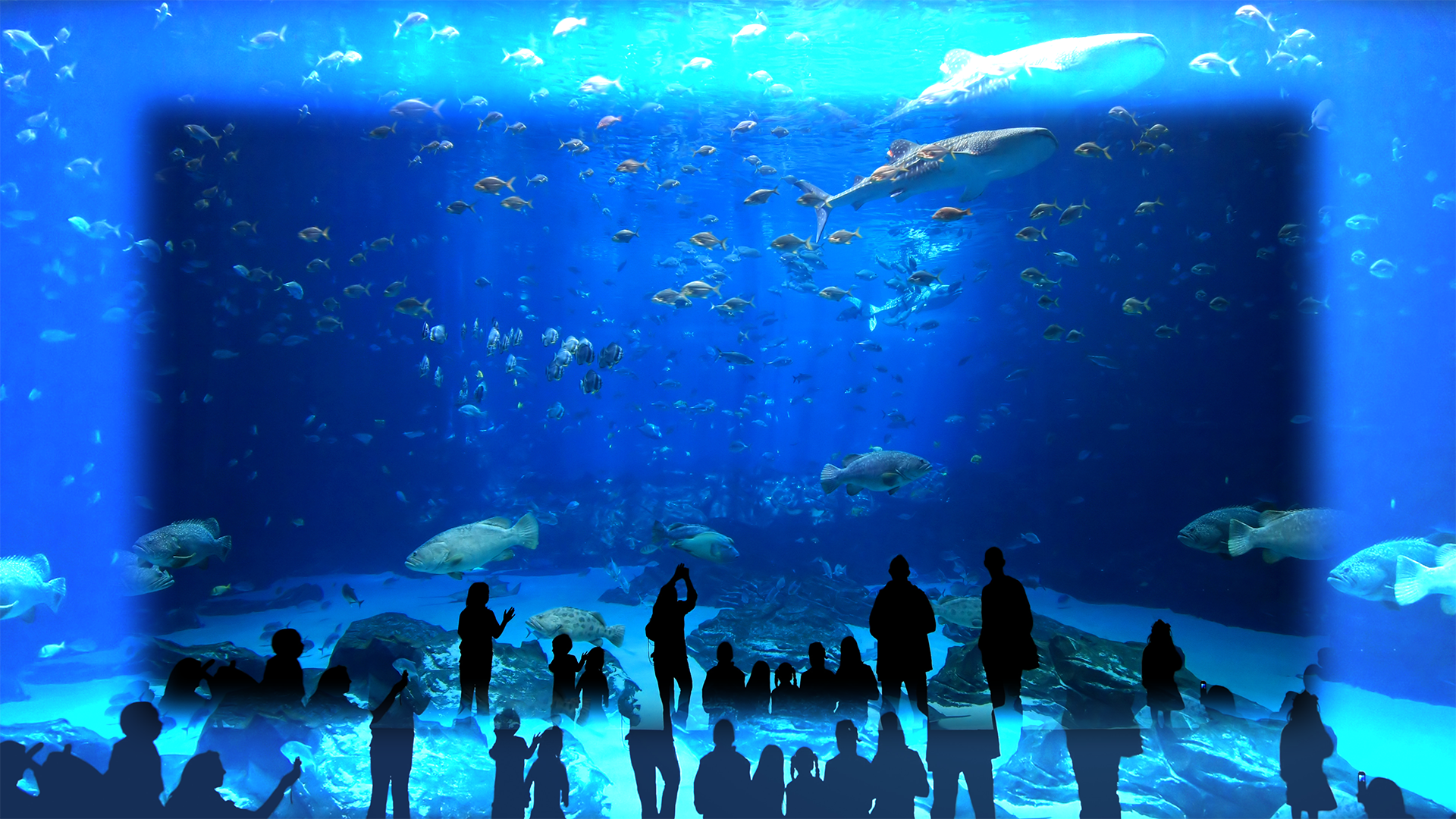 Glühende Transparenz Glühende Transparenz