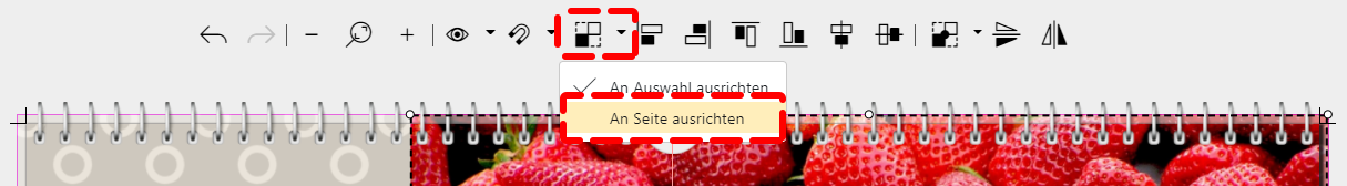 Auswahl "An Seite ausrichten"