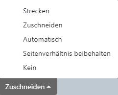 Editor_EditCropRatio